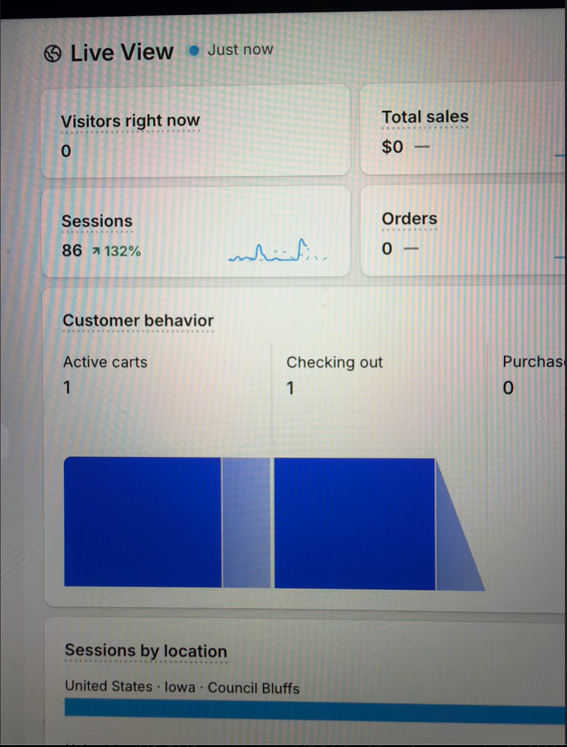 The moment right before my first-ever online sale. Someone mid-checkout, and me refreshing the dashboard like it mattered. It did.